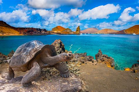 are the galapagos islands similar to each other